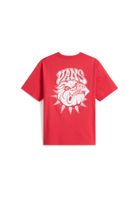 VANS Majica 'Bully Tee'  crvena