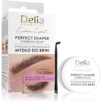 Delia Cosmetics Eyebrow Expert Perfect Shaper sapun za obrve 10 ml