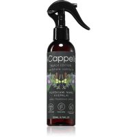 ACappella Cashmere Comforts odświeżacz w aerozolu 200 ml