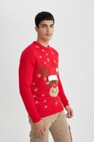 DEFACTO Standard Fit New Year Themed Crew Neck Knitwear Sweater