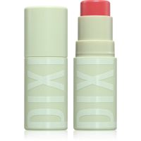 Pixi Tinted Lip Balm vlažilni balzam za ustnice v paličici s hialuronsko kislino odtenek 4.8 g
