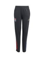 ADIDAS PERFORMANCE Sportske hlače  plava / zlatna / siva / crvena
