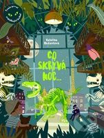 Co skrývá noc - Kateřina Bažantová - kniha z kategorie Pro děti