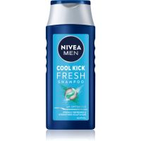 NIVEA MEN Cool Shampoo für normales bis fettiges Haar für Herren 250 ml