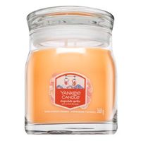 Yankee Candle Slopeside Spritz 368 g