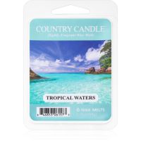 Country Candle Tropical Waters κερί για αρωματική λάμπα 64 γρ