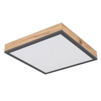 STROPNÉ LED SVIETIDLO, 30/30/6 cm