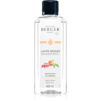 Maison Berger Paris Goji Berries náplň do katalytickej lampy 500 ml