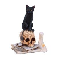 Dekoration Spirits of Salem