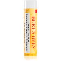 Burt’s Bees Lip Care vlažilni balzam za ustnice (with Coconut & Pear) 4.25 g