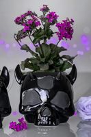 dekoracja (doniczka) KILLSTAR - Ashmedai - Black