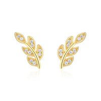 Olivie Strieborné náušnice VETVIČKA GOLD 8385