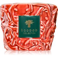 Baobab Collection Brame Artemis świeczka zapachowa 500 g