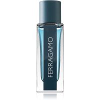 Ferragamo Ferragamo Intense Leather parfumovaná voda pre mužov 30 ml