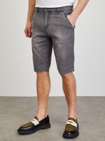 ZOOT.lab Dax Shorts Grau