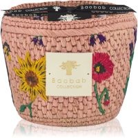 Baobab Collection Vony Kopelika aроматична свічка 500 гр
