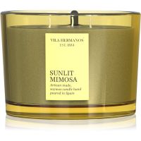Vila Hermanos Sunlit Mimosa Duftkerze 350 g