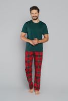 Men's pyjamas Narwik, short sleeves, long legs - green/print