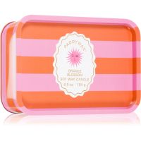 Paddywax A Dopo Sun vonná svíčka 184 g