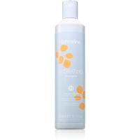 Echosline Hydrating Shampoo szampon nawilżający do włosów suchych, trudno poddających się stylizacji 300 ml