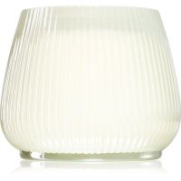Paddywax Lum Persimon αρωματικό κερί 340 γρ
