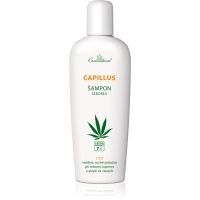 Cannaderm Capillus Seborea Shampoo szampon ziołowy do podrażnionej skóry głowy 150 ml