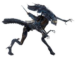 Dekoration (Figur) Alien - Ultra Deluxe Action Figure Xenomorph Queen