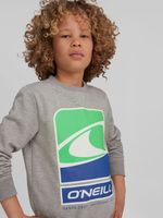 O'Neill Sweatshirt Kinder Grau