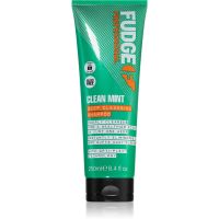 Fudge Clean Mint Shampoo šampón na mastné vlasy 250 ml