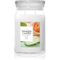 Yankee Candle Blooming Love aromatizēta svece 567 g