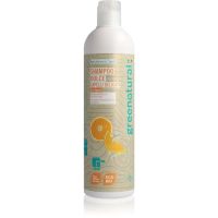 Greenatural Shampoo Citrus Fruit šampon za tanke lase 400 ml