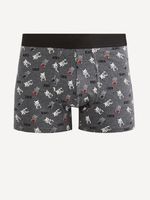 Celio Fiasie Boxer-Shorts Grau