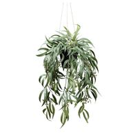 UMELÁ RASTLINA eukalyptus 65 cm