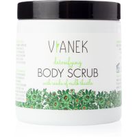 Vianek Detoxifying пілінг-детокс для тіла з розгладжуючим ефектом 250 мл