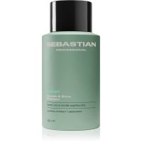 Sebastian Professional Volupt шампунь для об’єму волосся 280 мл