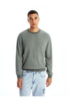 LC Waikiki LCW Crew Neck Long Sleeve Men's Knitwear Sweater