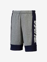 Puma Alpha Kinder Shorts Grau