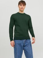 Jack & Jones Atlas Džemper zelena