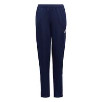 ADIDAS PERFORMANCE Sportske hlače 'Entrada 22'  plava / bijela