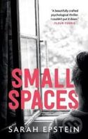 Small Spaces - Sarah Epstein - kniha z kategorie Thrillery