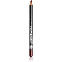J.Cat Beauty Wholly Addiction контурний олівець для губ відтінок 224 Plum 1.76 гр