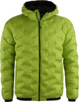 Herren Jacke ALPINE PRO