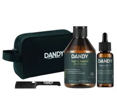 Pánska cestovná sada pre starostlivosť o vlasy a fúzy s kozmetickou taštičkou a hrebienkom na fúzy Dandy + darček zadarmo