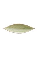 Costa Nova Servírovací tanier Costa Nova Riviera Laurel 18 cm