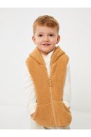 LC Waikiki Hooded Collar Baby Boy Zippered Plush Vest