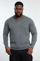 Trendyol Gray Men's Regular Half Turtleneck Baklava Knitwear Plus Size Sweater