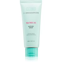 BRINGGREEN Tea Tree Cica Soothing Cream Plus intensiv nährende Creme mit beruhigender Wirkung 100 ml