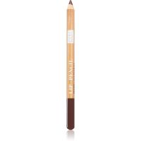 Astra Make-up Pure Beauty Lip Pencil kontúrovacia ceruzka na pery natural odtieň 01 Mahogany 1,1 g