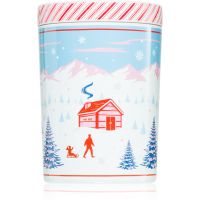 DW Home Scene & Stripes Peppermint Bark Duftkerze 431 g