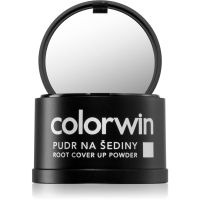 Colorwin Powder Haarpuder für mehr Volumen und zur Abdeckung grauer Haare Farbton Dark Brown 3,2 g